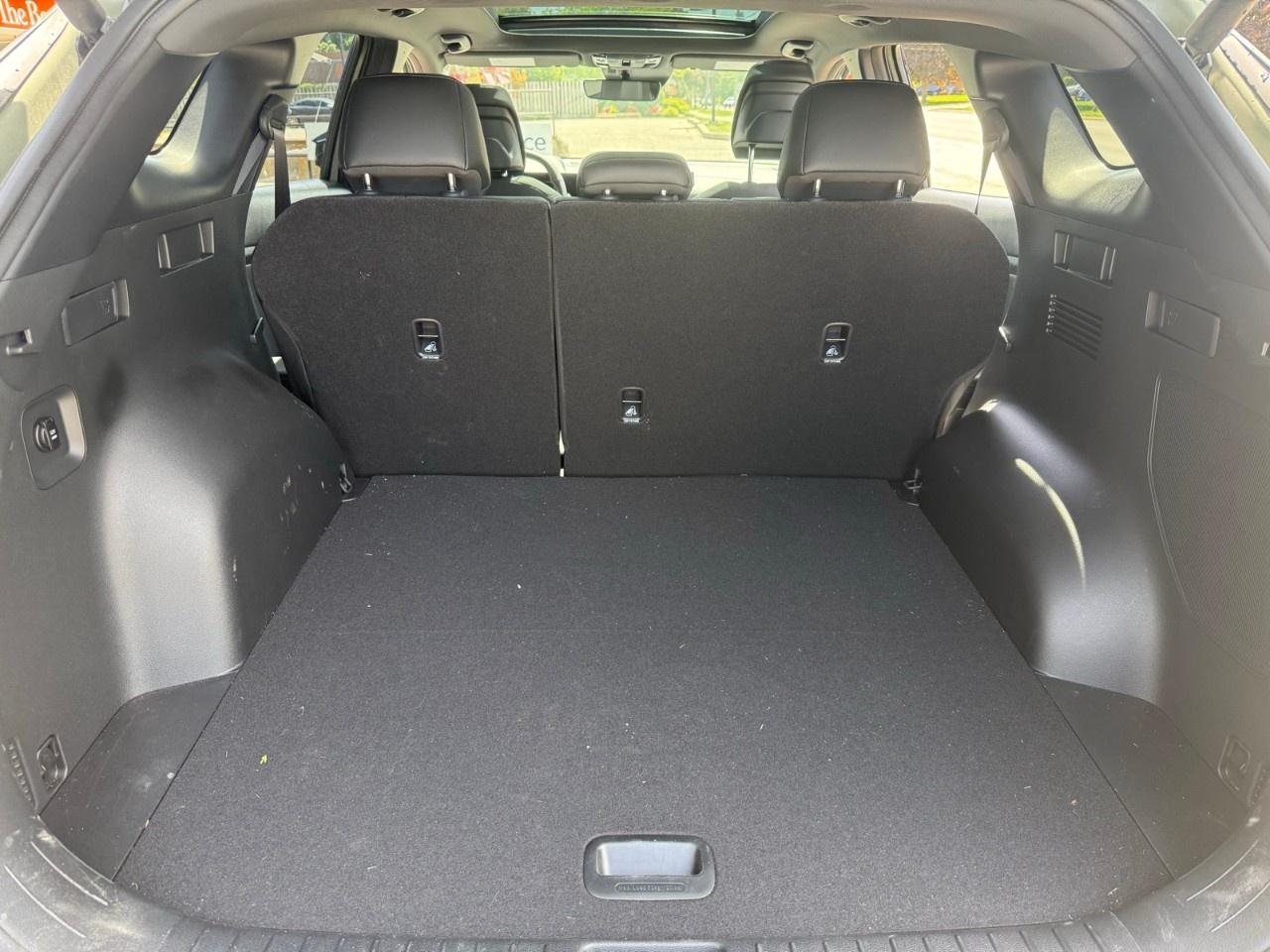 2026 Kia Sportage  Photo
