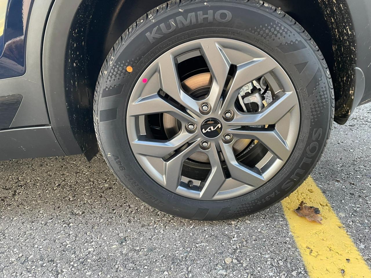 2026 Kia Seltos EX Photo