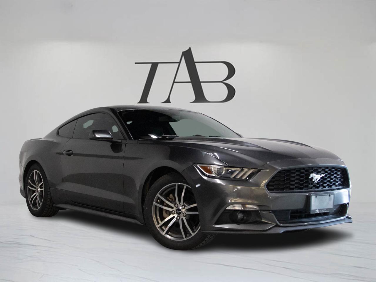2016 Ford Mustang FASTBACK | ECOBOOST | BUTTERFLY DOORS | WDX SOUND Photo