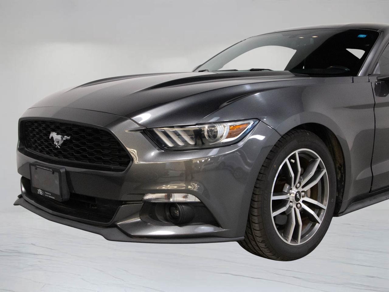 2016 Ford Mustang FASTBACK | ECOBOOST | BUTTERFLY DOORS | WDX SOUND Photo
