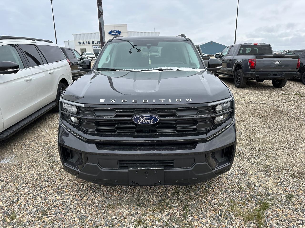 2025 Ford Expedition ACTIVE MAX 4x4 202A Photo