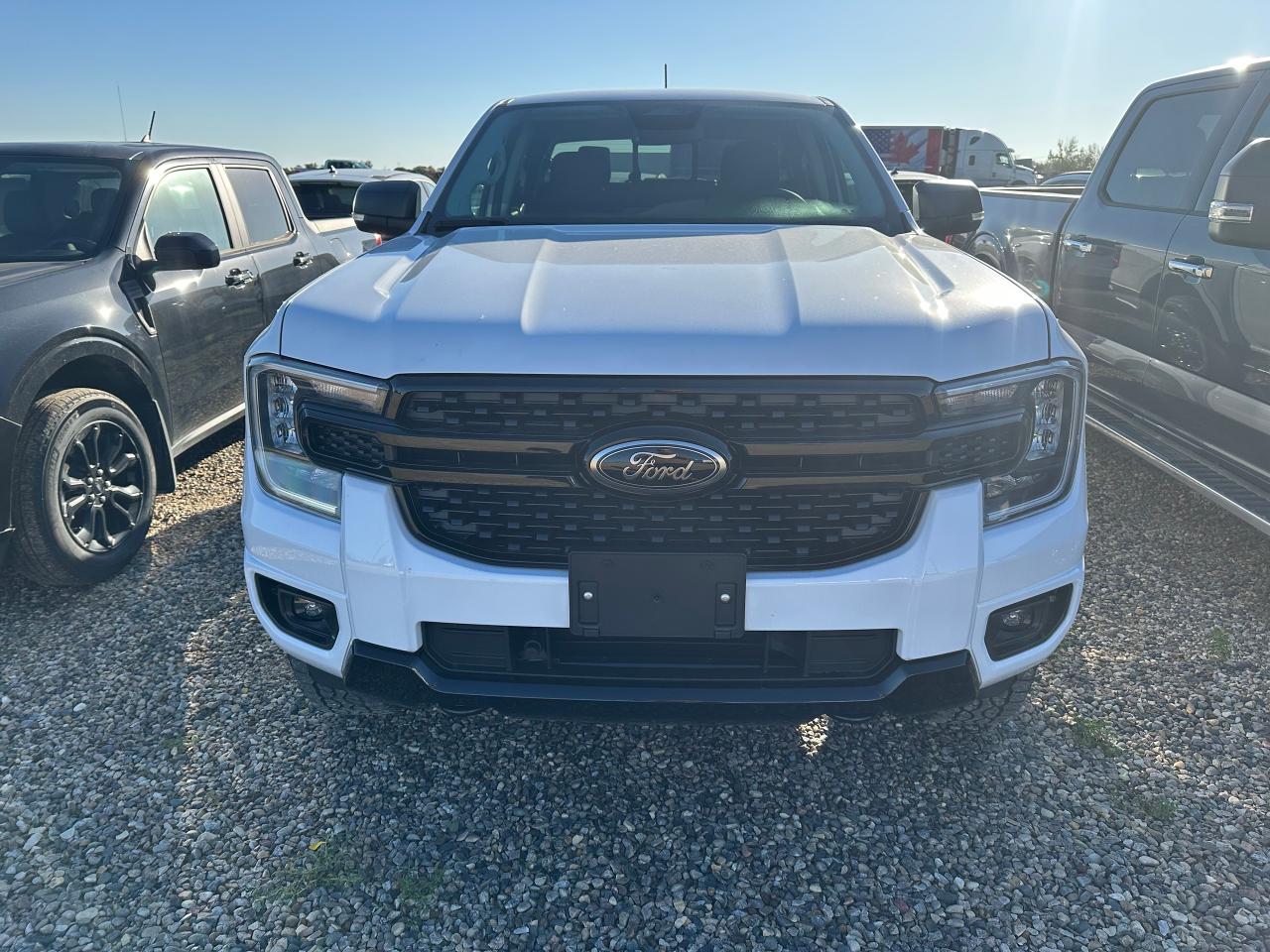 2025 Ford Ranger XLT 4WD SuperCrew 5' Box 301A Photo5