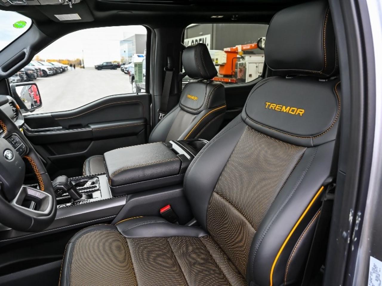 2025 Ford F-150 Tremor Photo