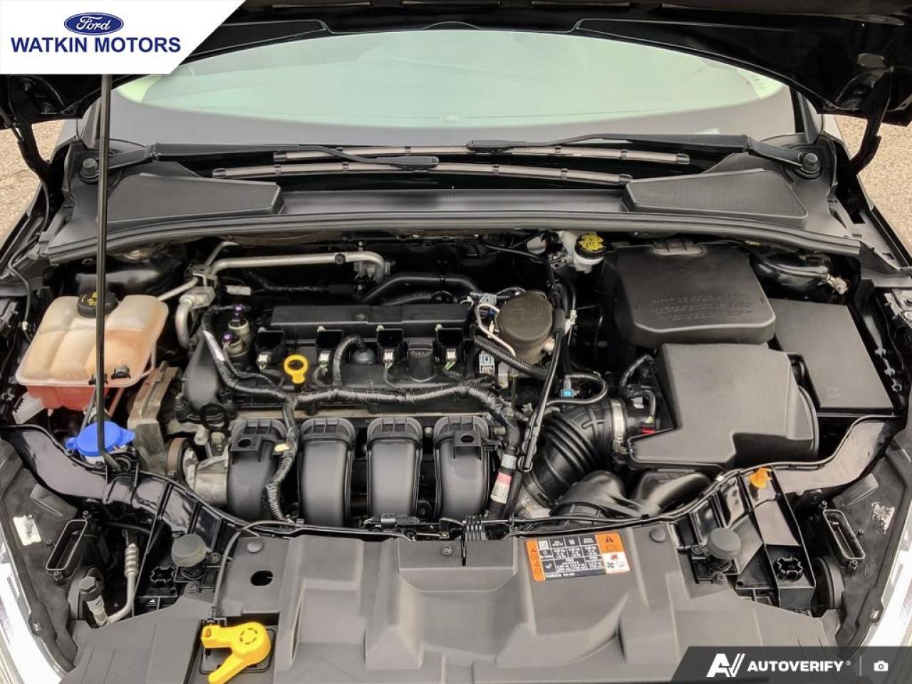 2016 Ford Focus Titanium Photo12