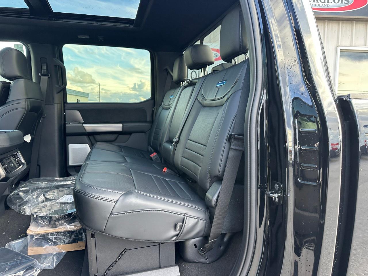 2026 Ford F-250 Super Duty SRW PLATINUM 4WD CREW CAB 6.75' BOX Photo