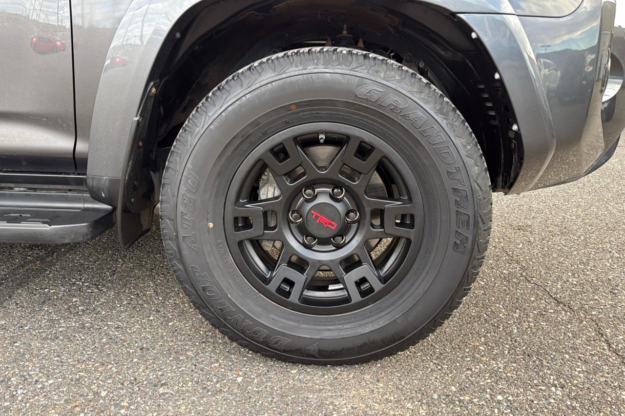 2019 Toyota 4Runner SR5 Photo