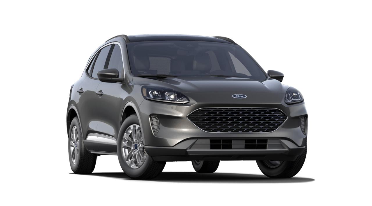 2020 Ford Escape SE Photo