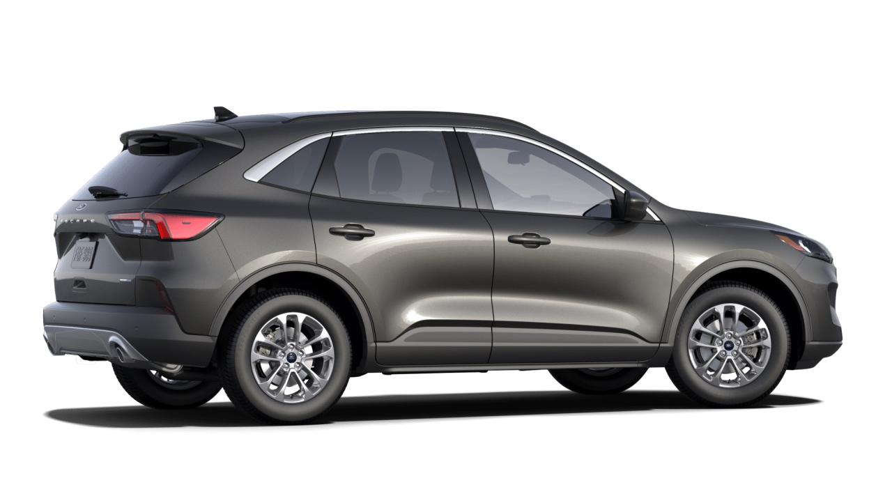 2020 Ford Escape SE Photo