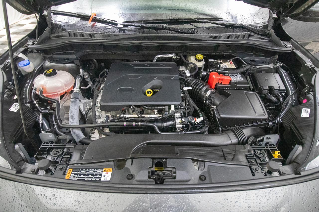 2020 Ford Escape SE AWD Photo5