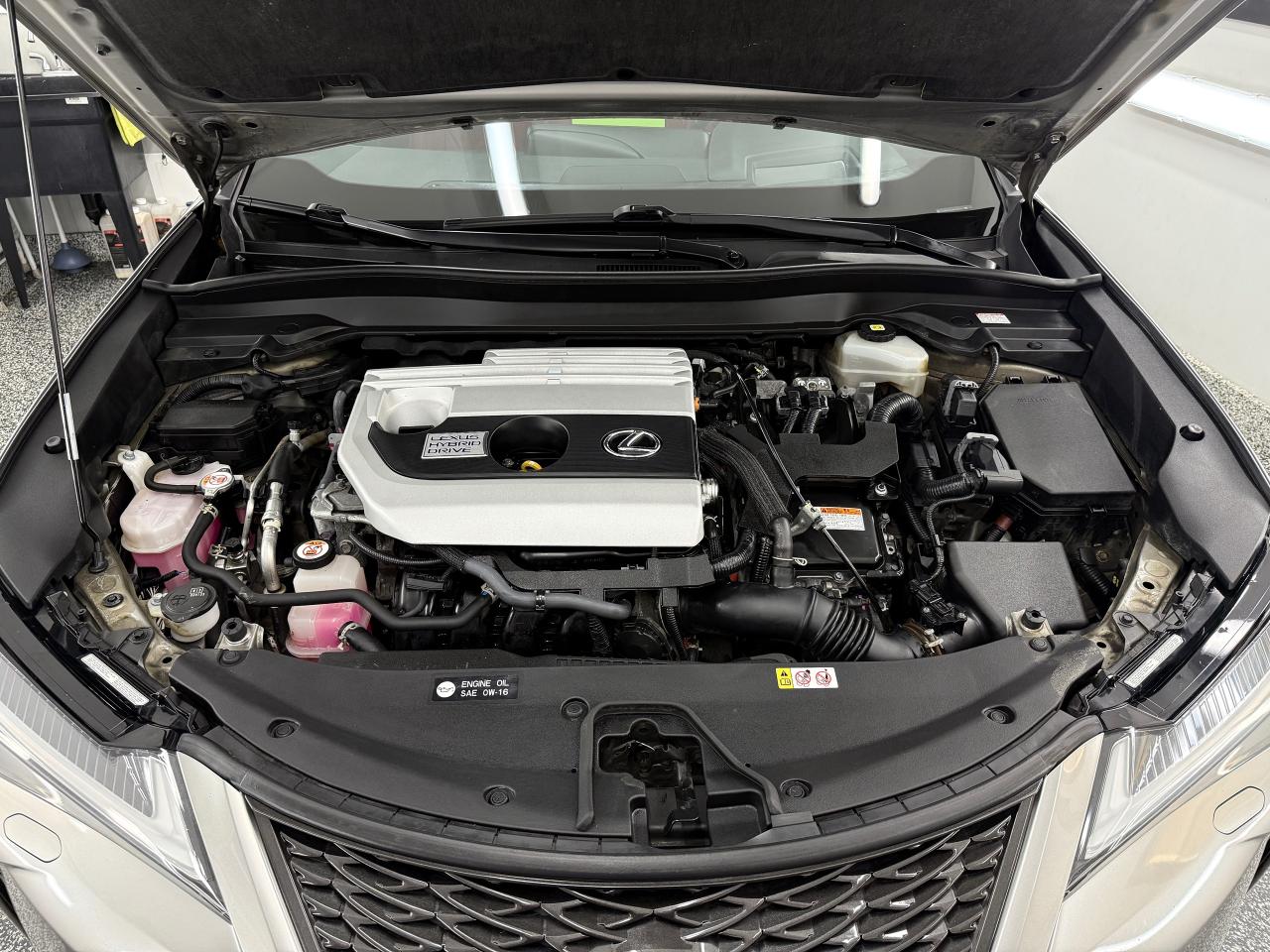 2021 Lexus UX UX 250h F SPORT 2 - Photo #17