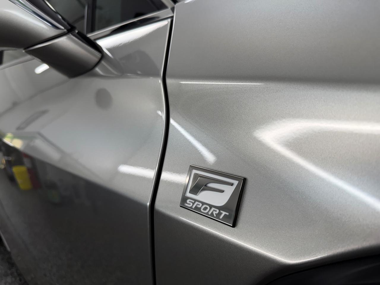 2021 Lexus UX UX 250h F SPORT 2 - Photo #7