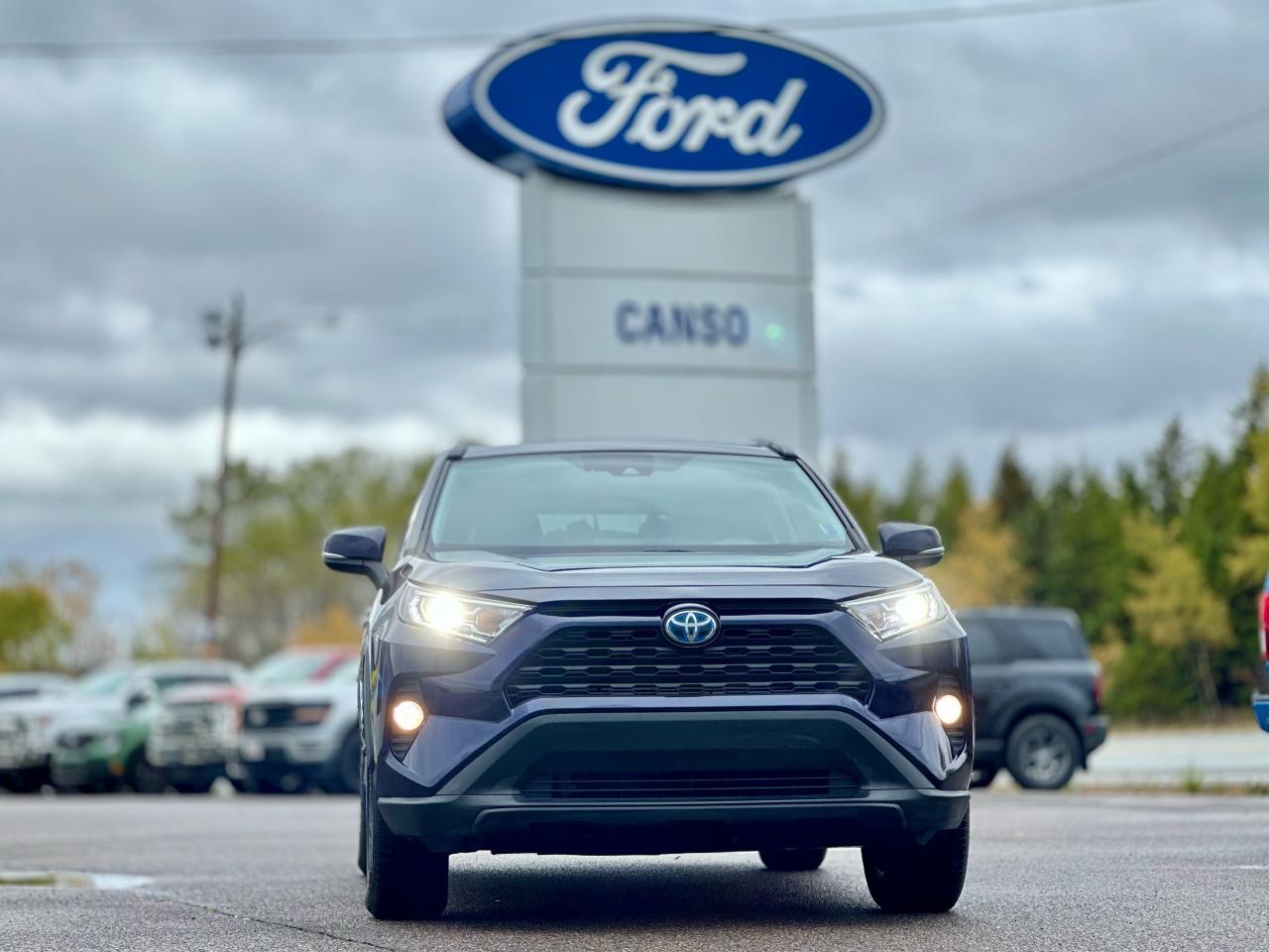 2020 Toyota RAV4 XLE AWD W/ LEATHER MOONROOF Photo1