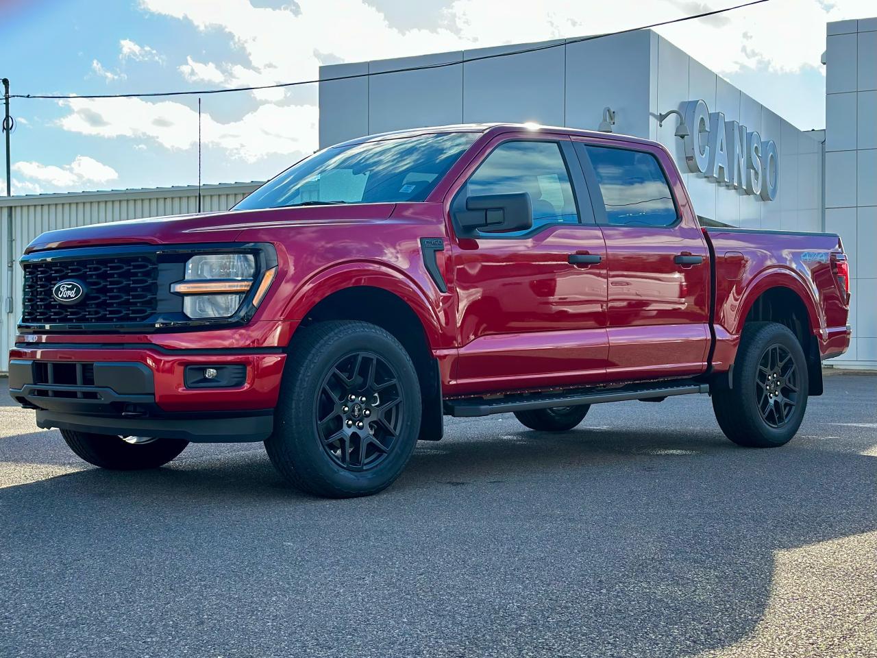 2025 Ford F-150 STX 4WD SuperCrew 5.5' Box Photo