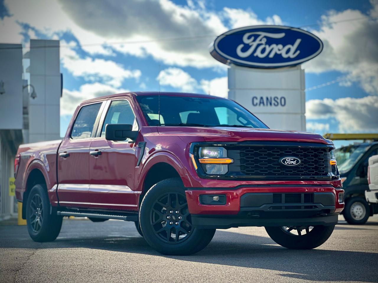 2025 Ford F-150 STX 4WD SuperCrew 5.5' Box Photo0