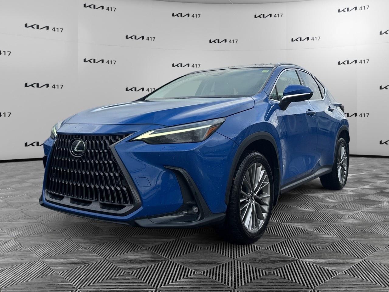 2022 Lexus NX  Photo0