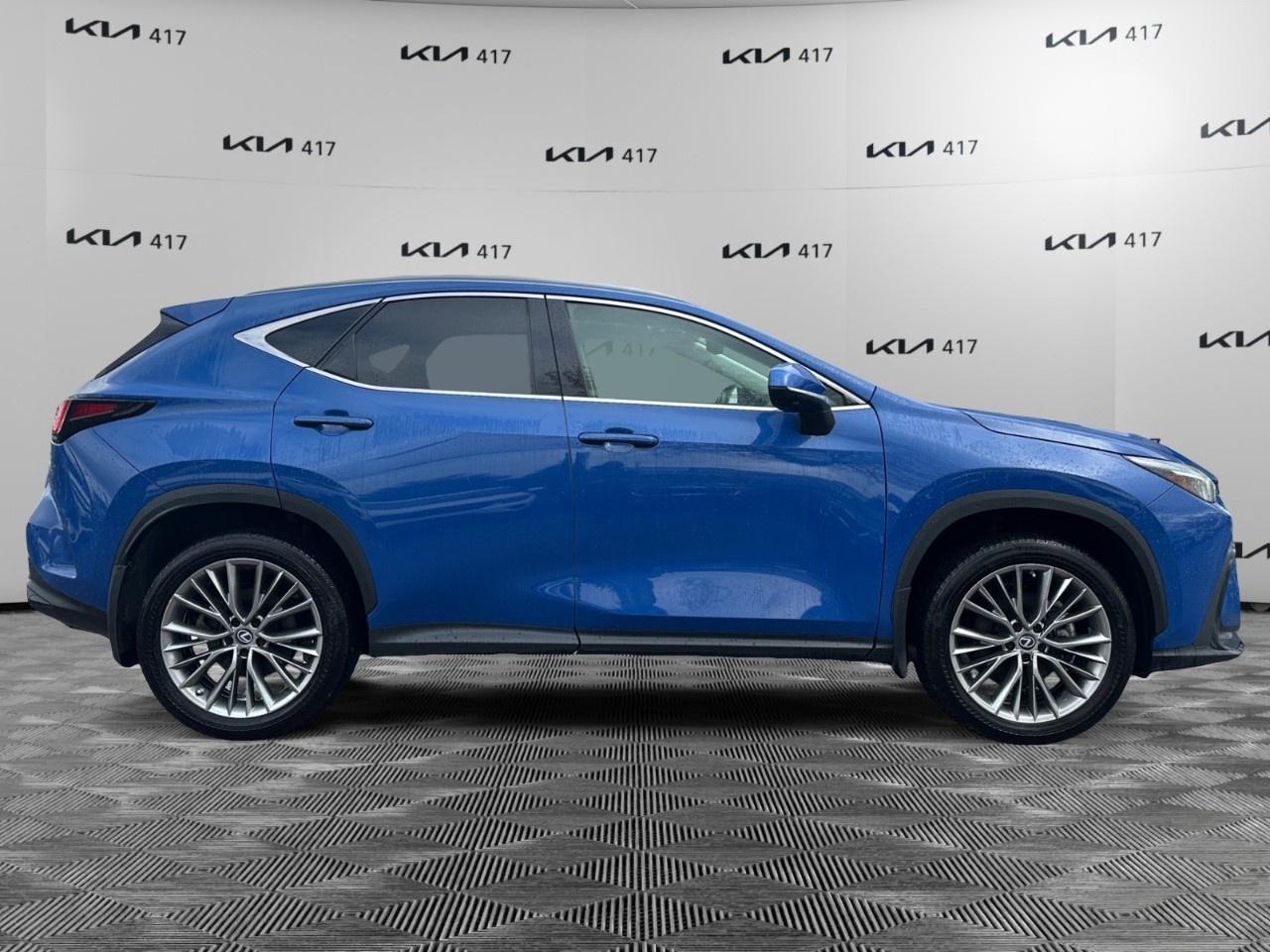 2022 Lexus NX  Photo