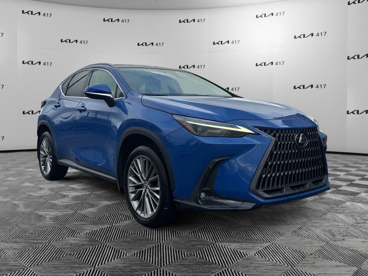 2022 Lexus NX  Photo