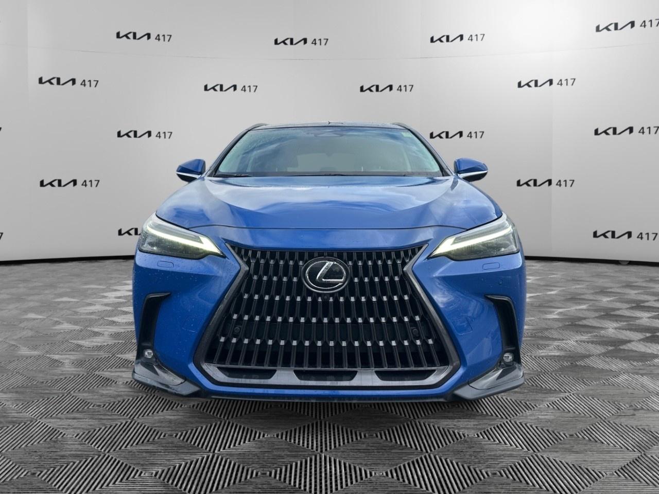 2022 Lexus NX  Photo