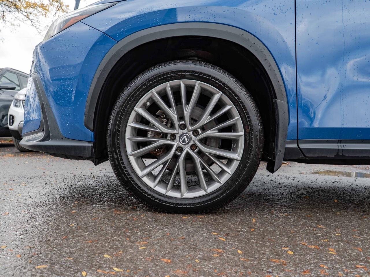 2022 Lexus NX  Photo