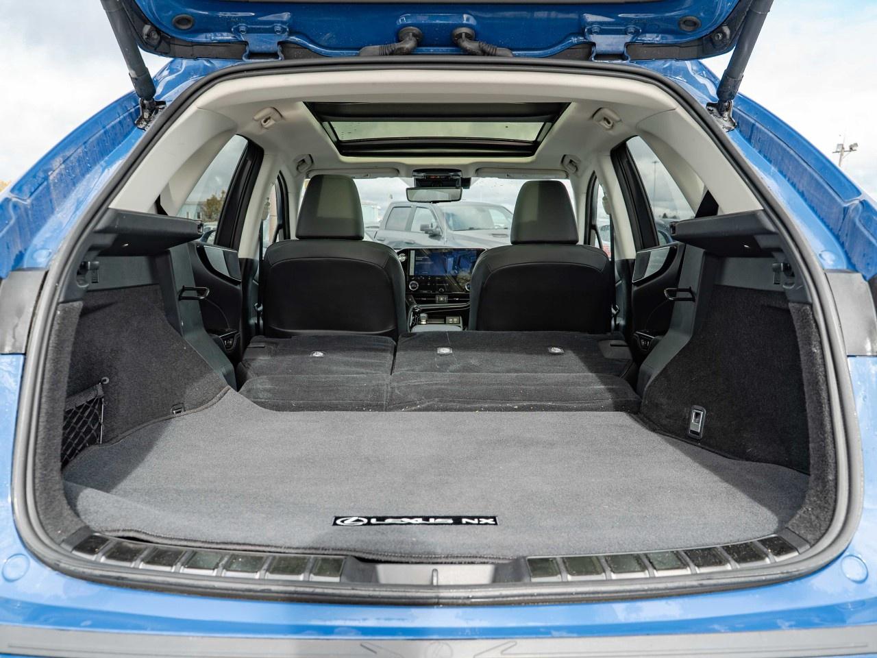 2022 Lexus NX  Photo