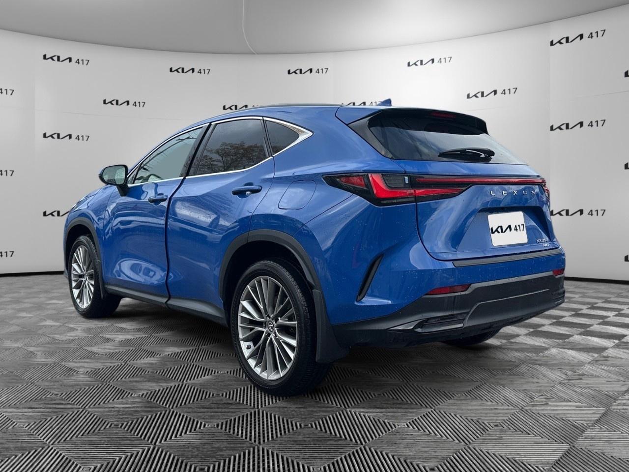 2022 Lexus NX  Photo