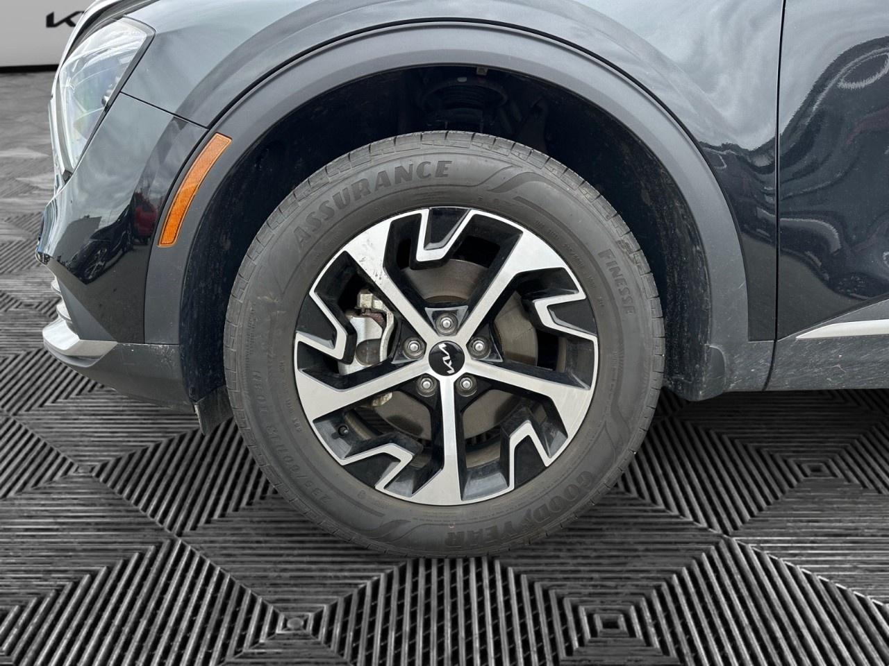 2024 Kia Sportage EX AWD Photo