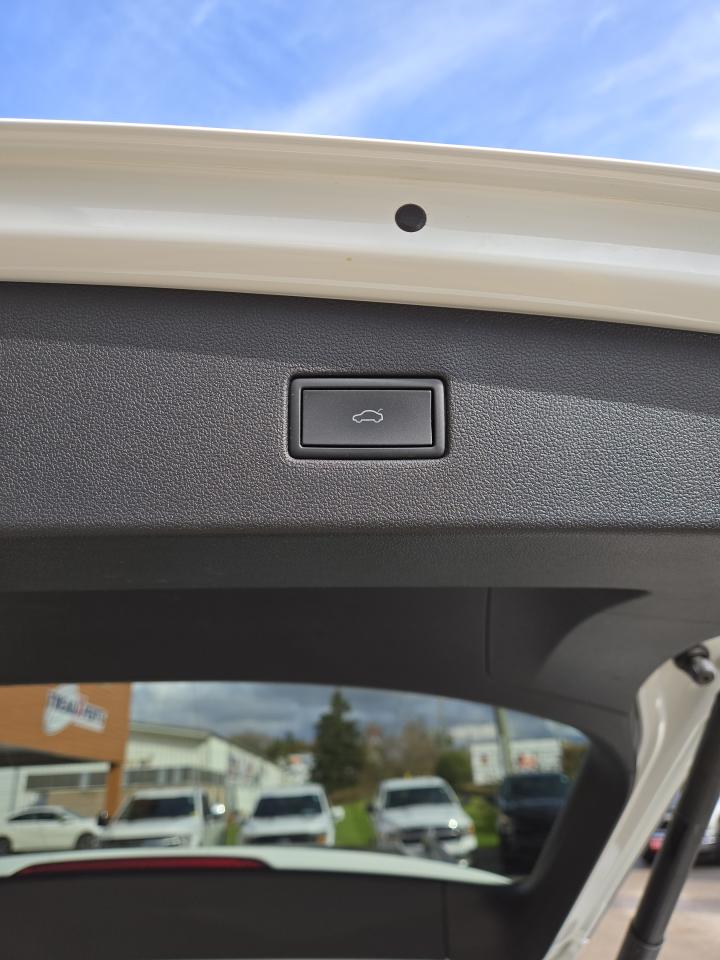 2024 Volkswagen Tiguan COMFORTLINE Photo