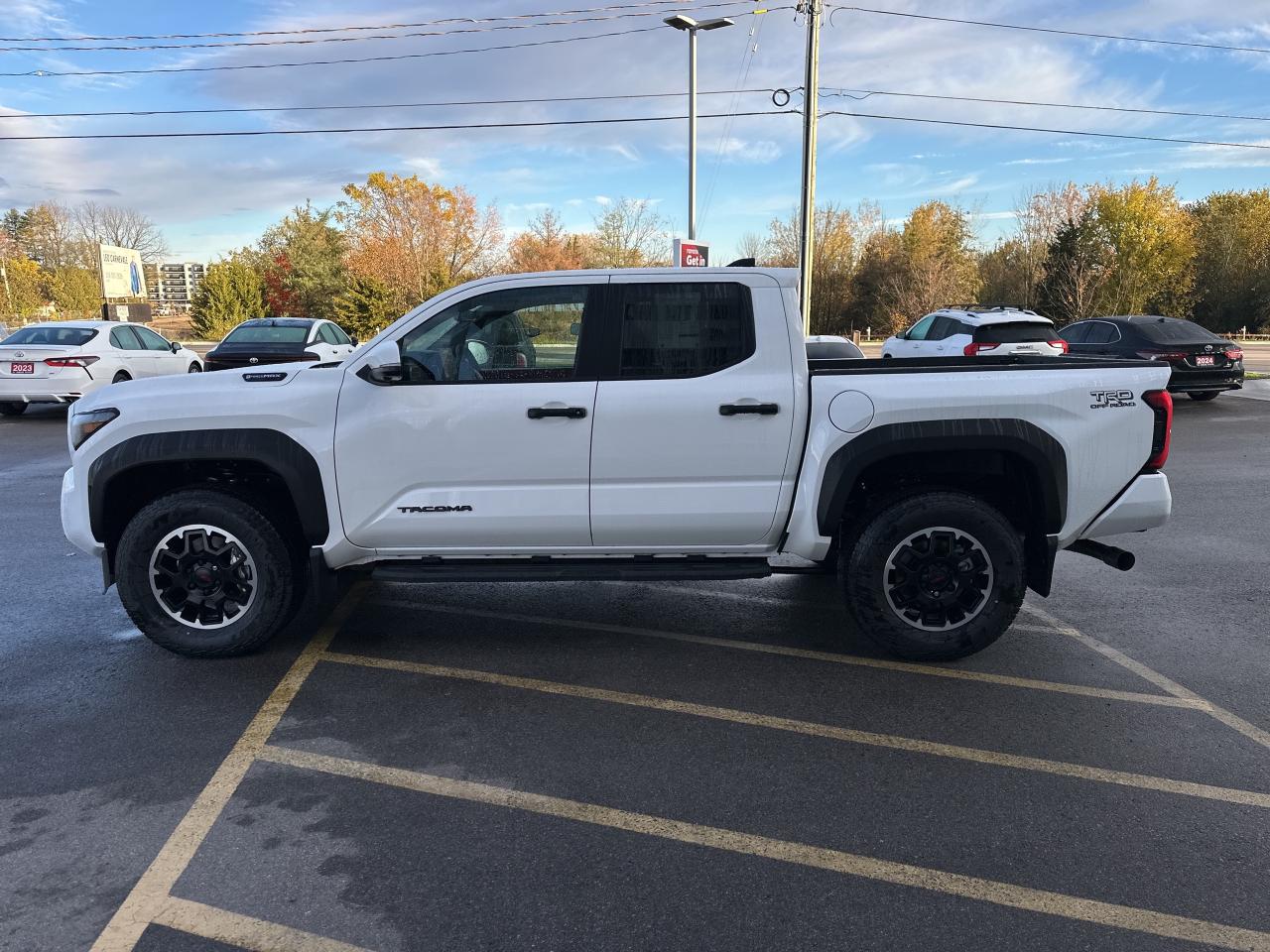 2025 Toyota Tacoma Hybrid Photo