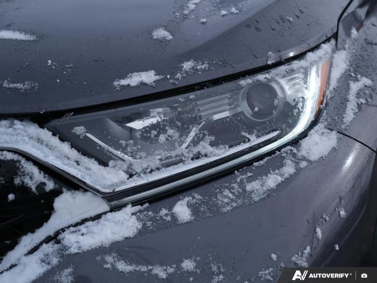 2021 Honda CR-V  Photo