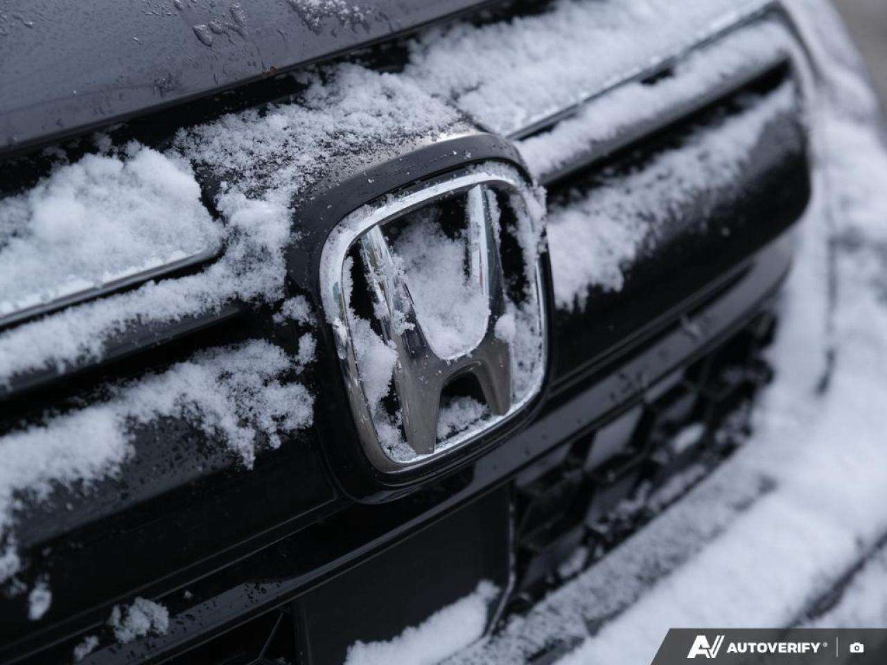 2021 Honda CR-V  Photo