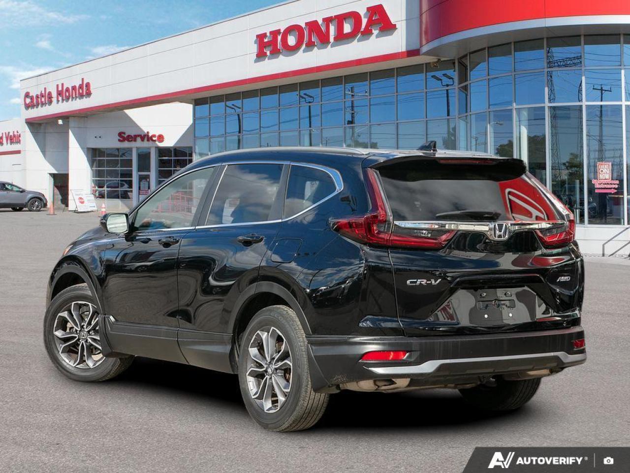 2020 Honda CR-V  Photo