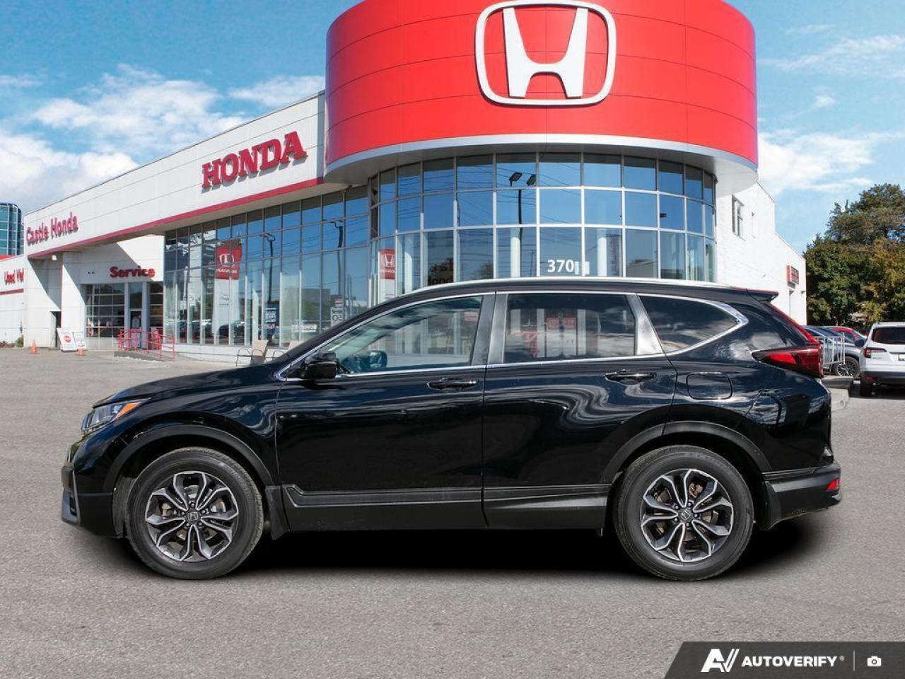 2020 Honda CR-V  Photo