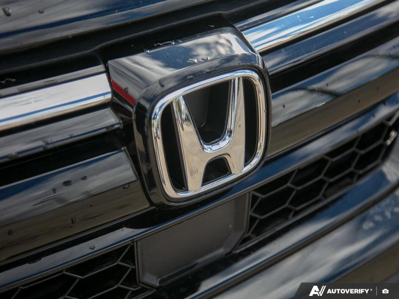 2020 Honda CR-V  Photo