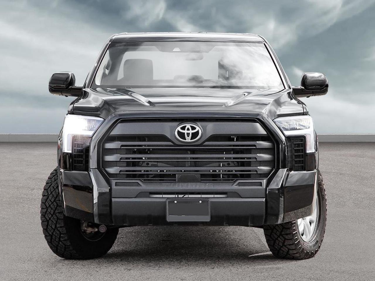 2025 Toyota Tundra SR5 Photo