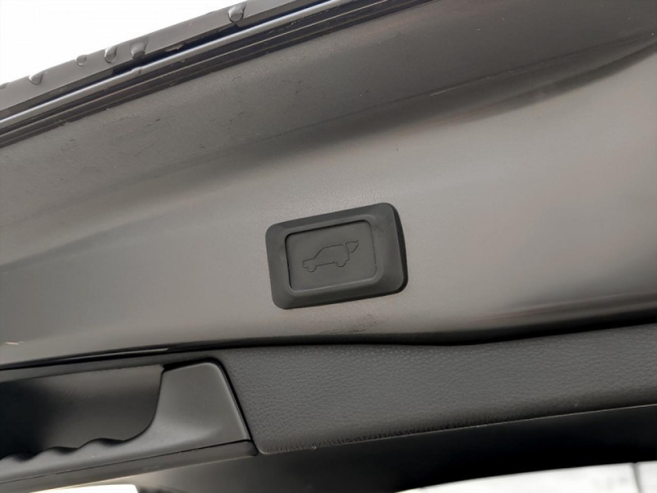 2019 Toyota RAV4 XLE  **LOW KMS - 16 SERVICE RECORDS** Photo