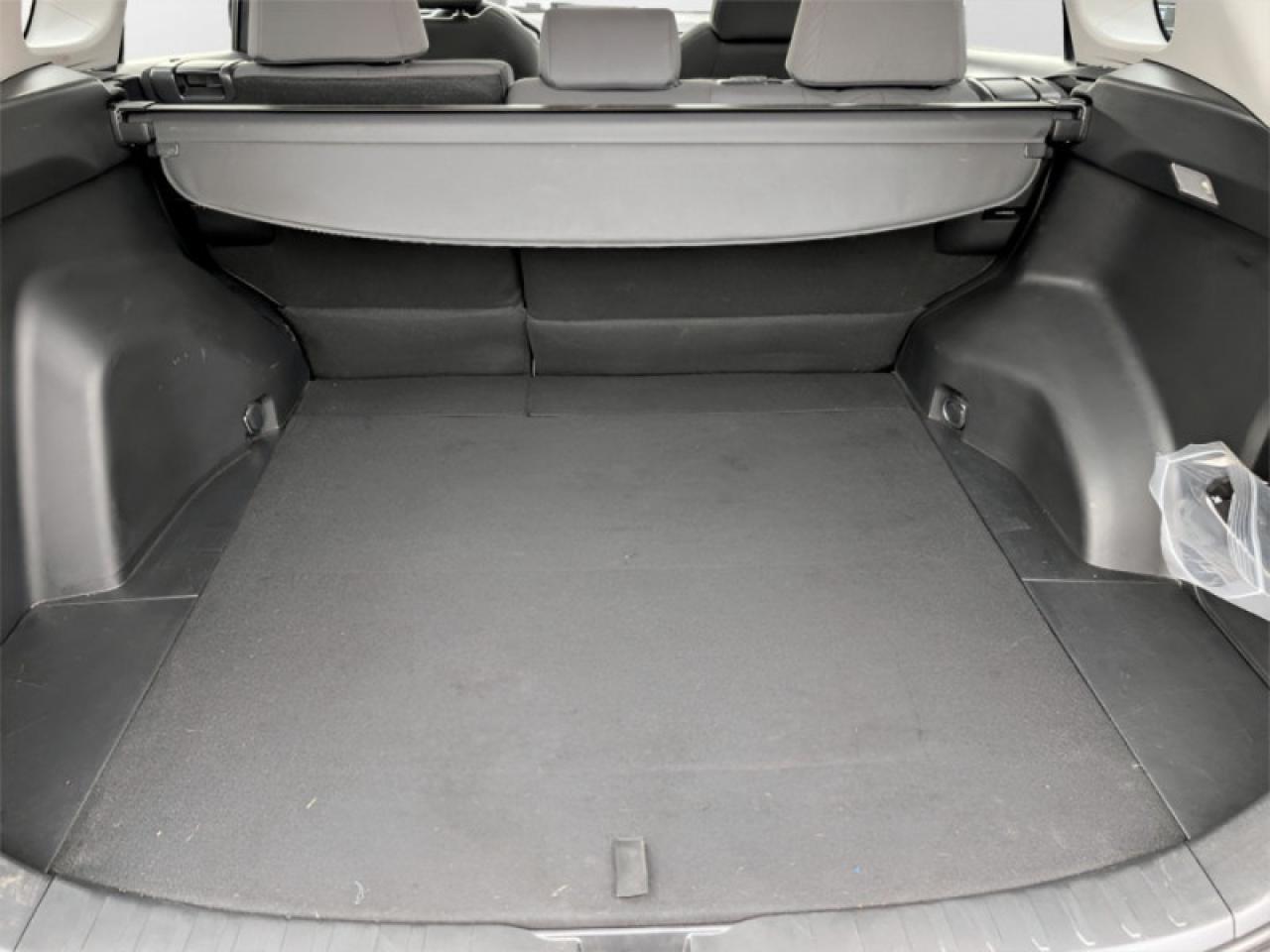 2019 Toyota RAV4 XLE  **LOW KMS - 16 SERVICE RECORDS** Photo