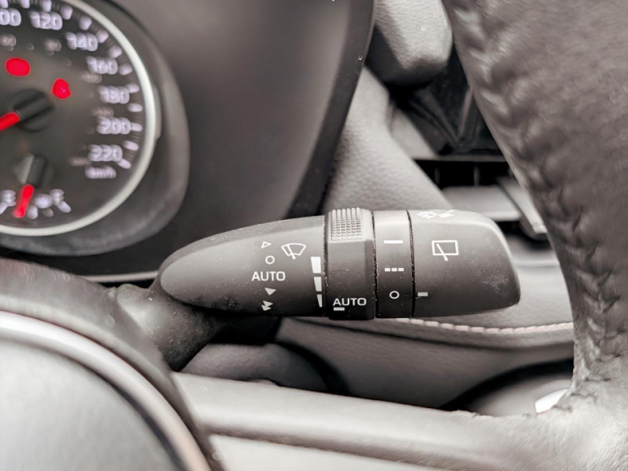 2019 Toyota RAV4 XLE  **LOW KMS - 16 SERVICE RECORDS** Photo