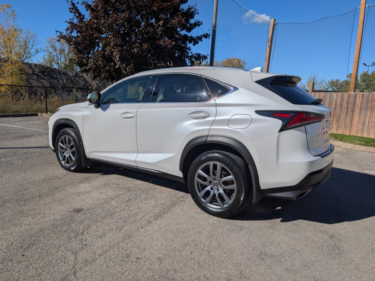 2021 Lexus NX 300 Luxury  **COOLED SEATS - SUNROOF** Photo2