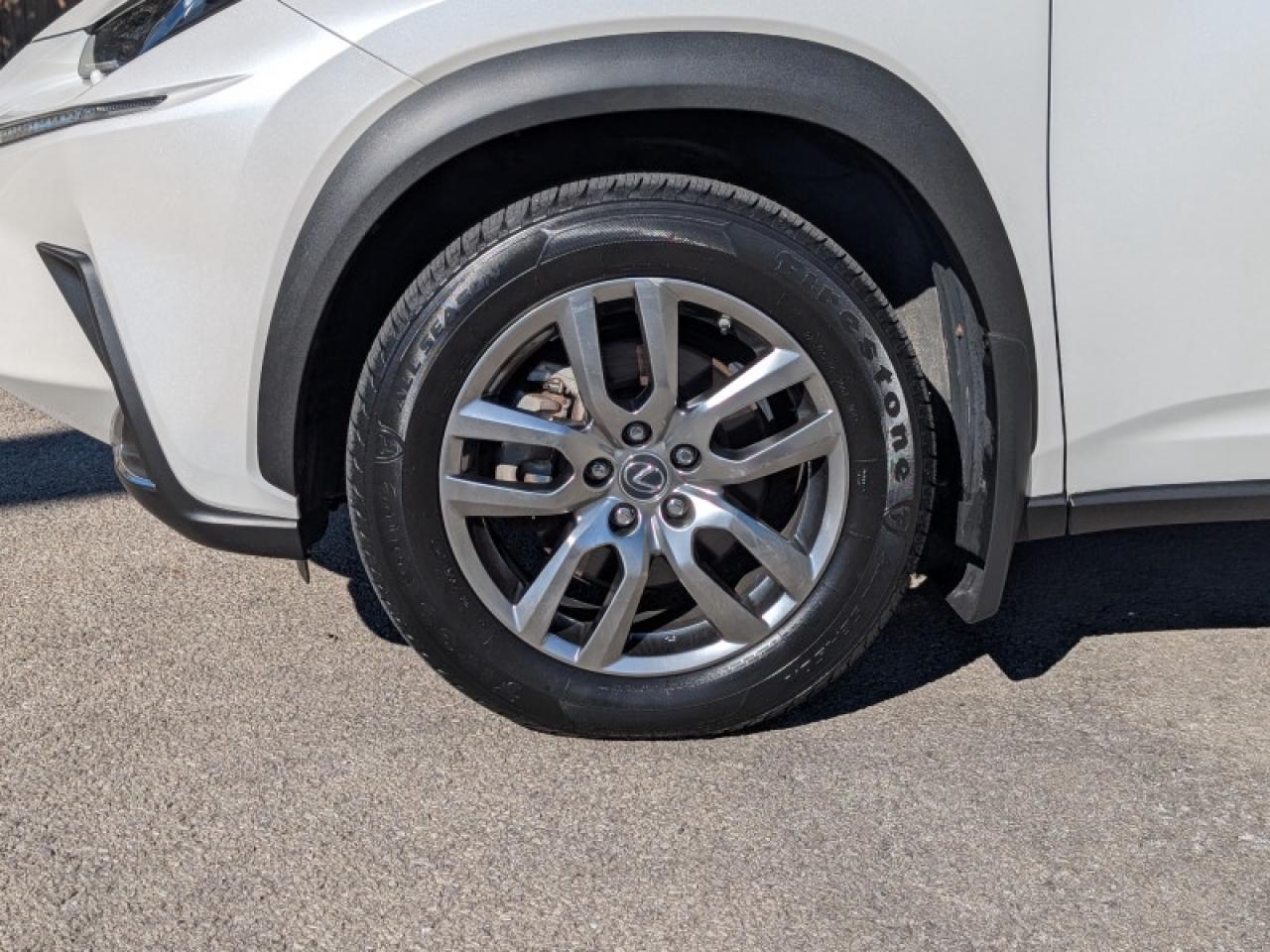 2021 Lexus NX 300 Luxury  **COOLED SEATS - SUNROOF** Photo