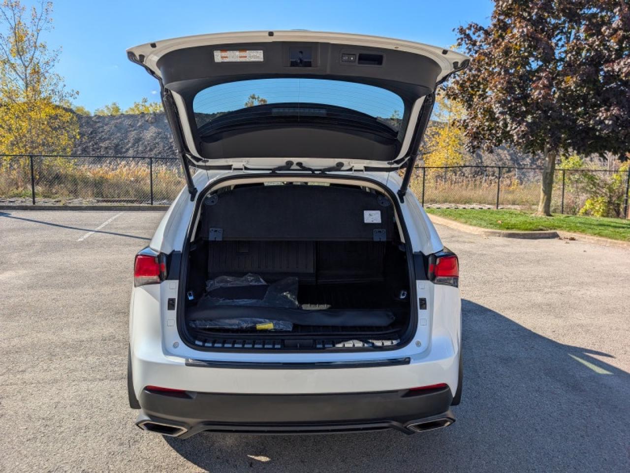 2021 Lexus NX 300 Luxury  **COOLED SEATS - SUNROOF** Photo