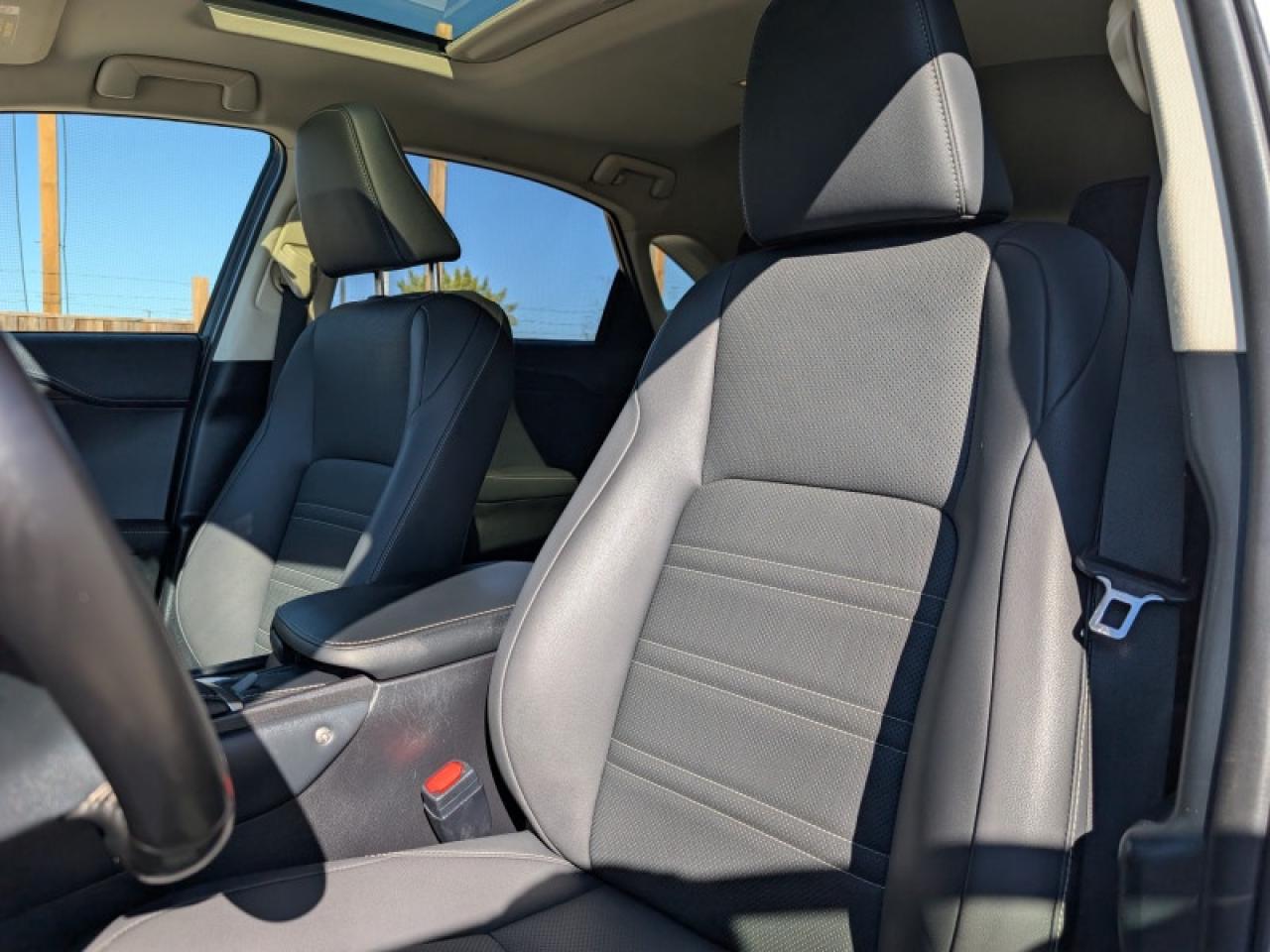 2021 Lexus NX 300 Luxury  **COOLED SEATS - SUNROOF** Photo