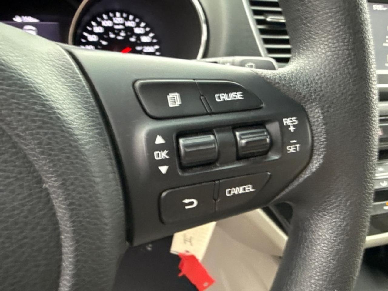 2019 Kia Sedona L   - $190 B/W - Low Mileage Photo