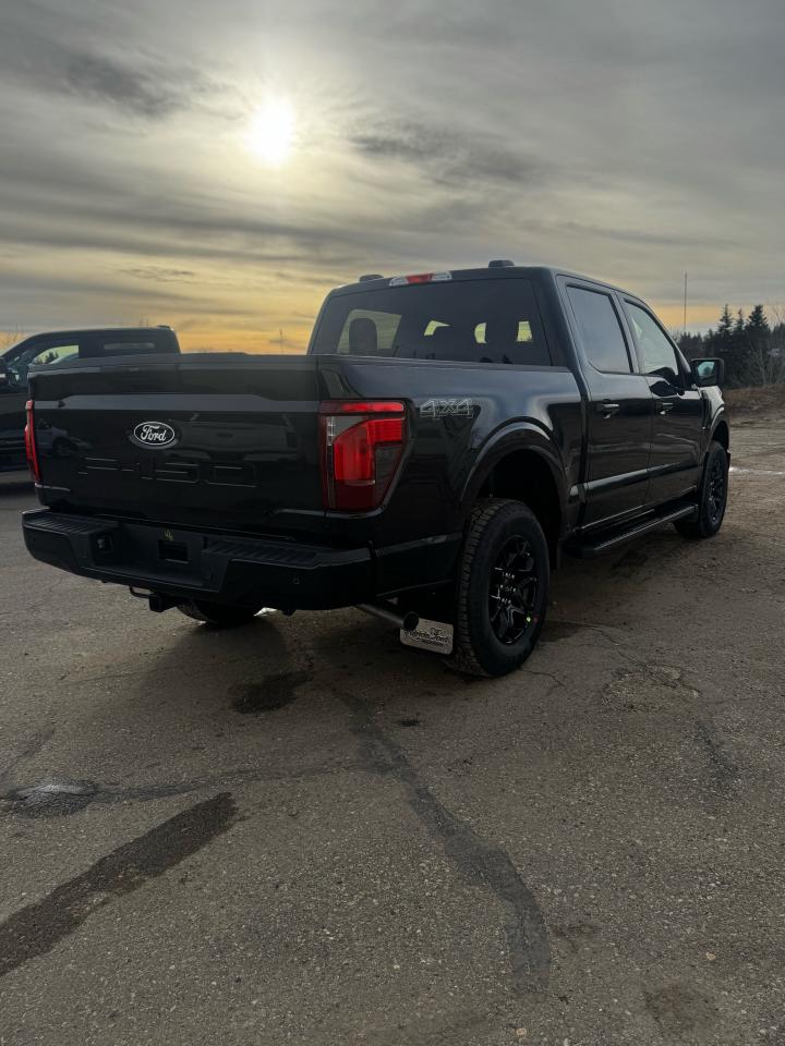 2025 Ford F-150 4x4 Supercrew-145 Photo3