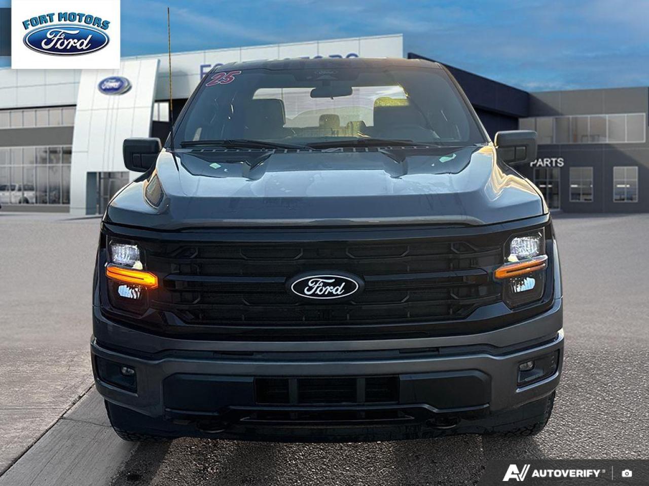 2025 Ford F-150 XLT Photo