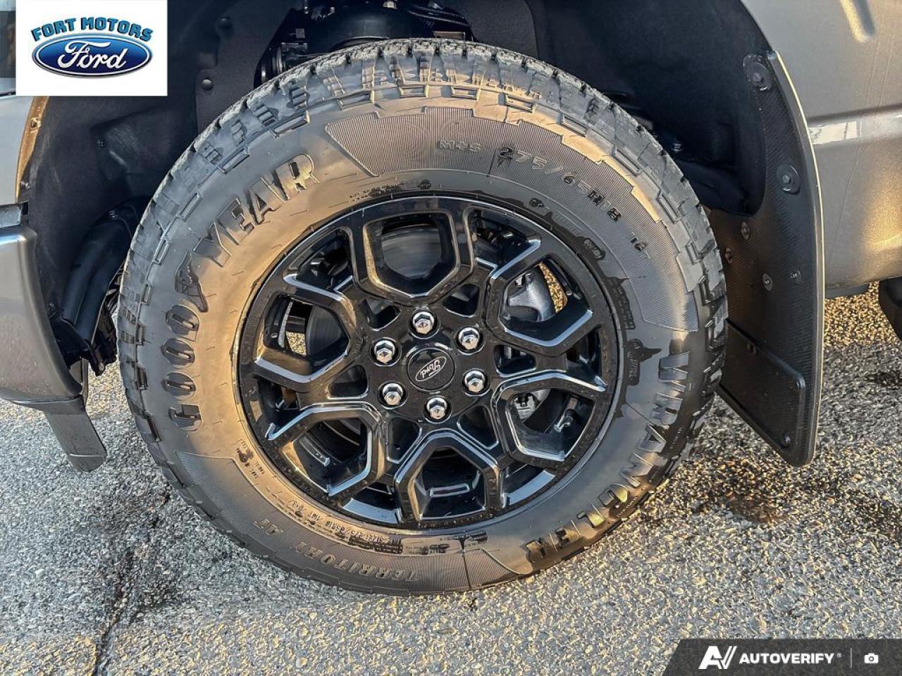 2025 Ford F-150 XLT Photo5