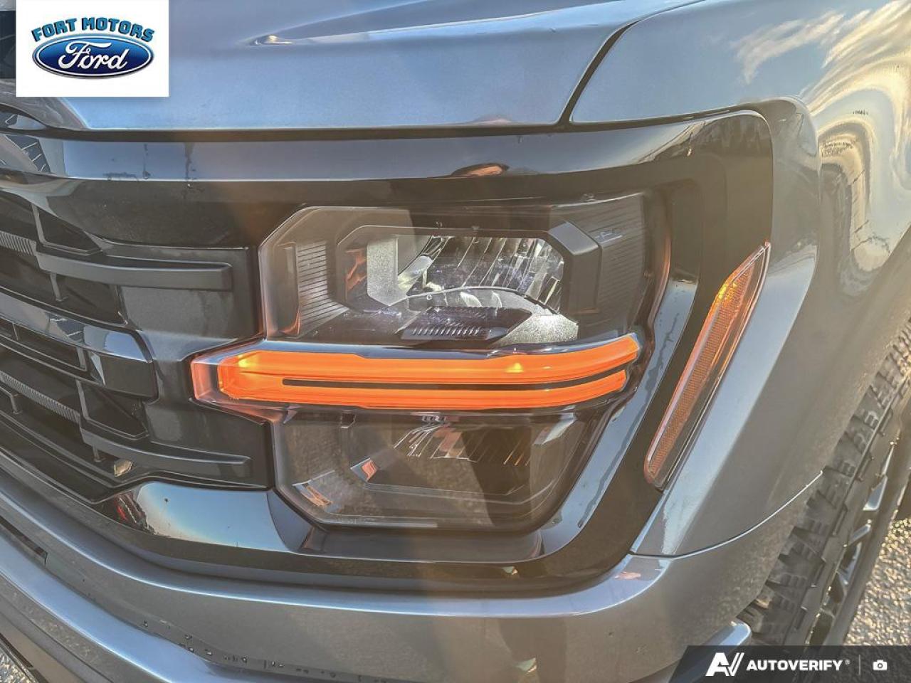 2025 Ford F-150 XLT Photo5