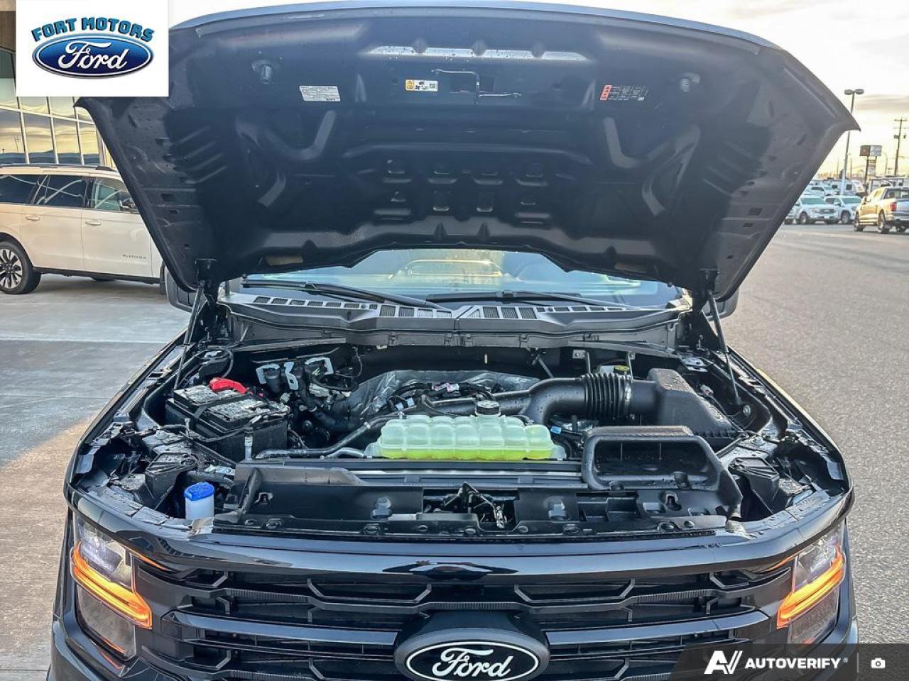 2025 Ford F-150 XLT Photo5