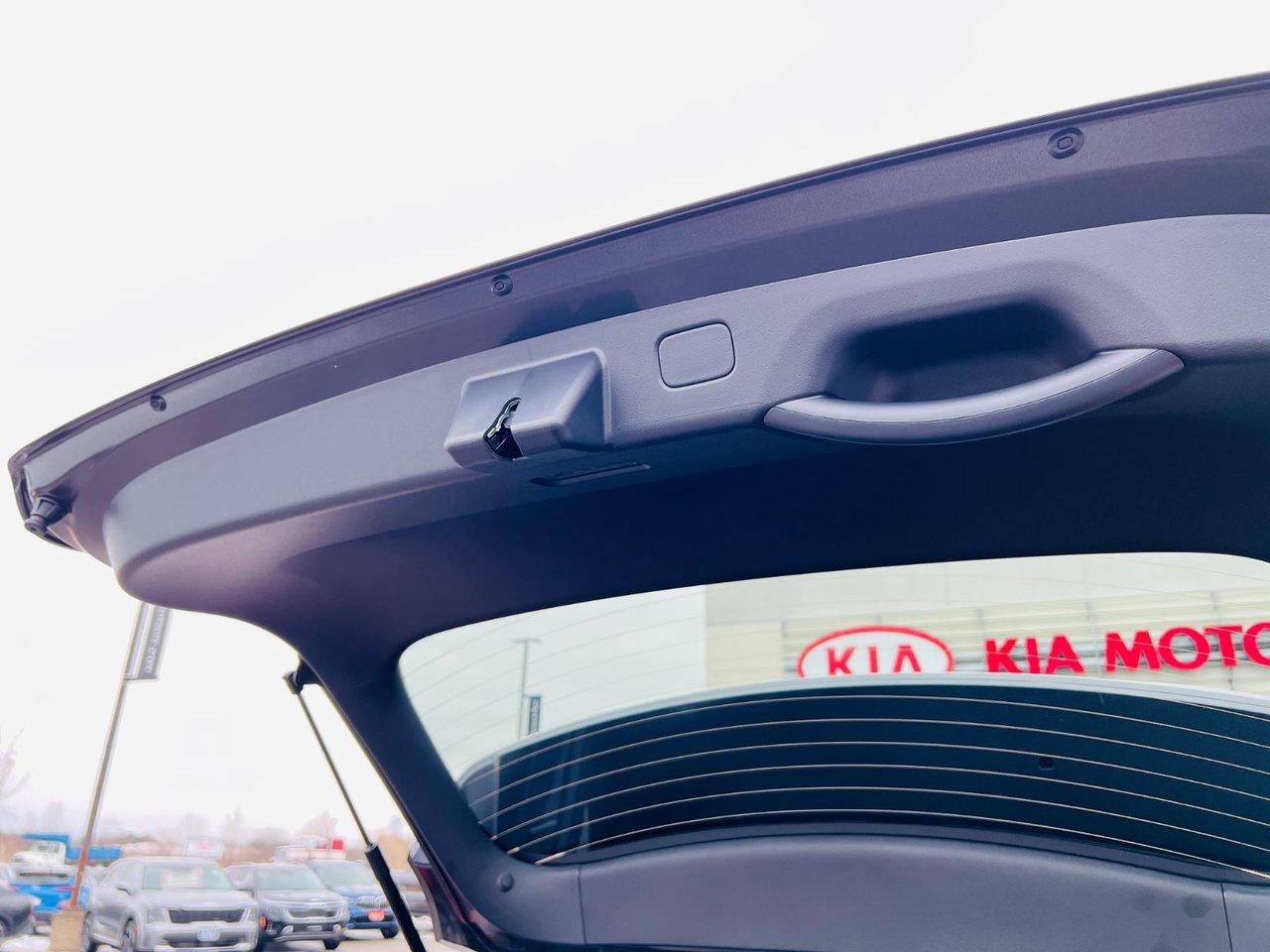 2026 Kia NIRO HEV EX Photo