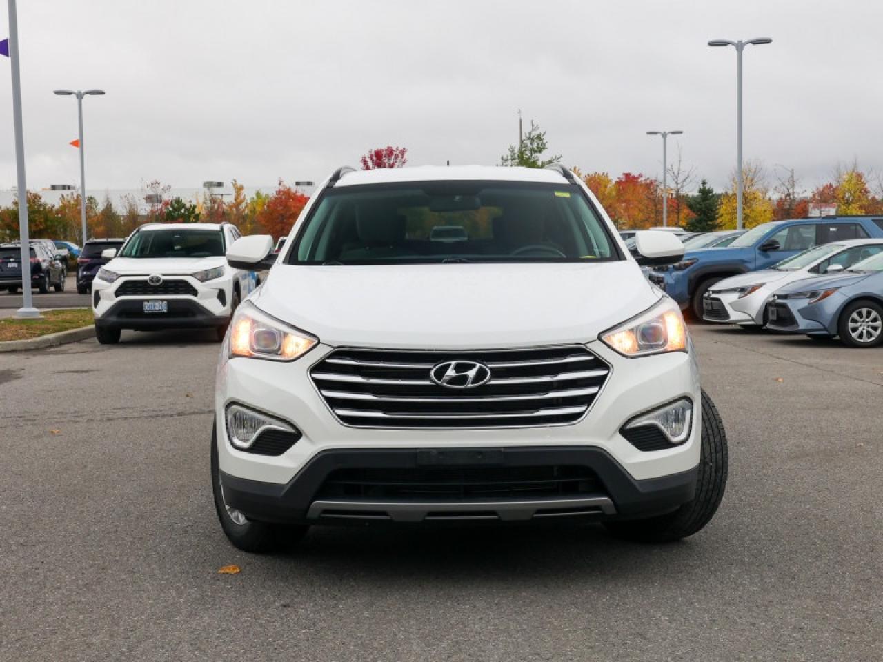 2014 Hyundai Santa Fe XL - $192 B/W Photo