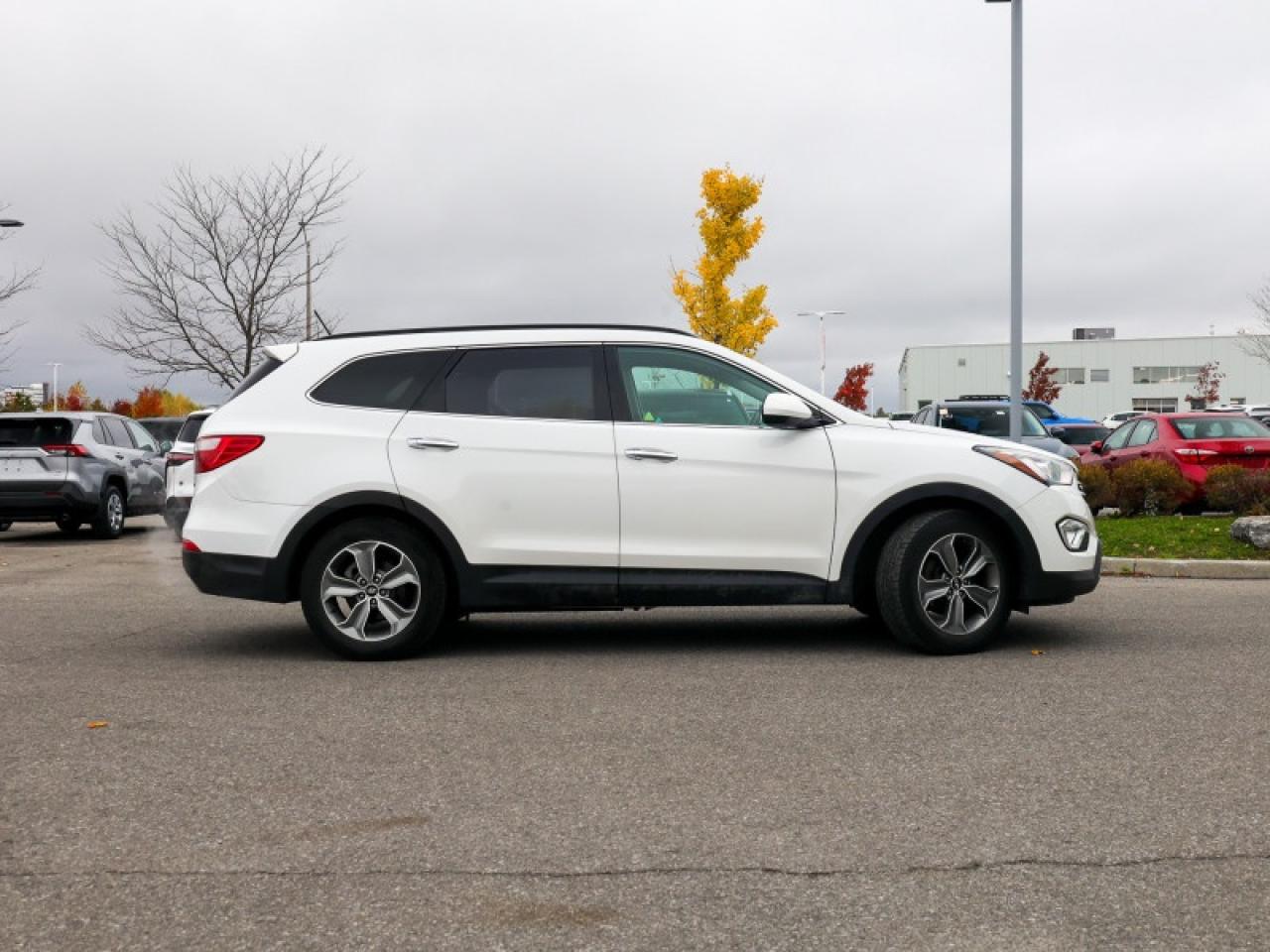 2014 Hyundai Santa Fe XL - $192 B/W Photo